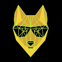 DINGO TOKEN (old)